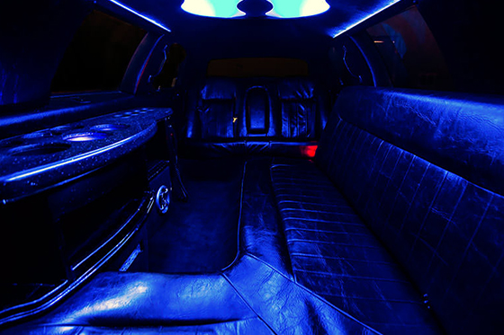 Sophisticated limousine design