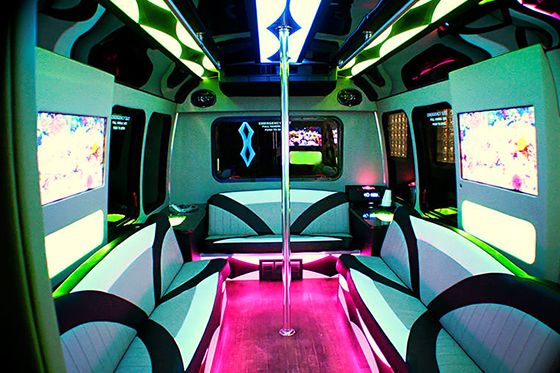 18 passenger party bus