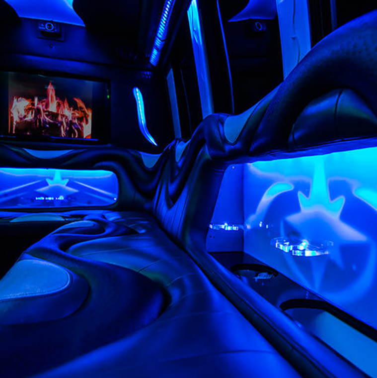 14 passenger party bus